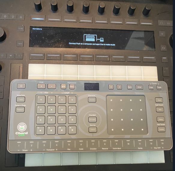 Chordcat日記 初日 | 無理ない暮らし